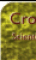 Crop_Circle_Research-2.gif (3206 bytes)