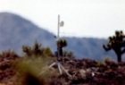 Desert_Secrets.jpg (5288 bytes)