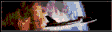 temlogo.gif (1772 bytes)